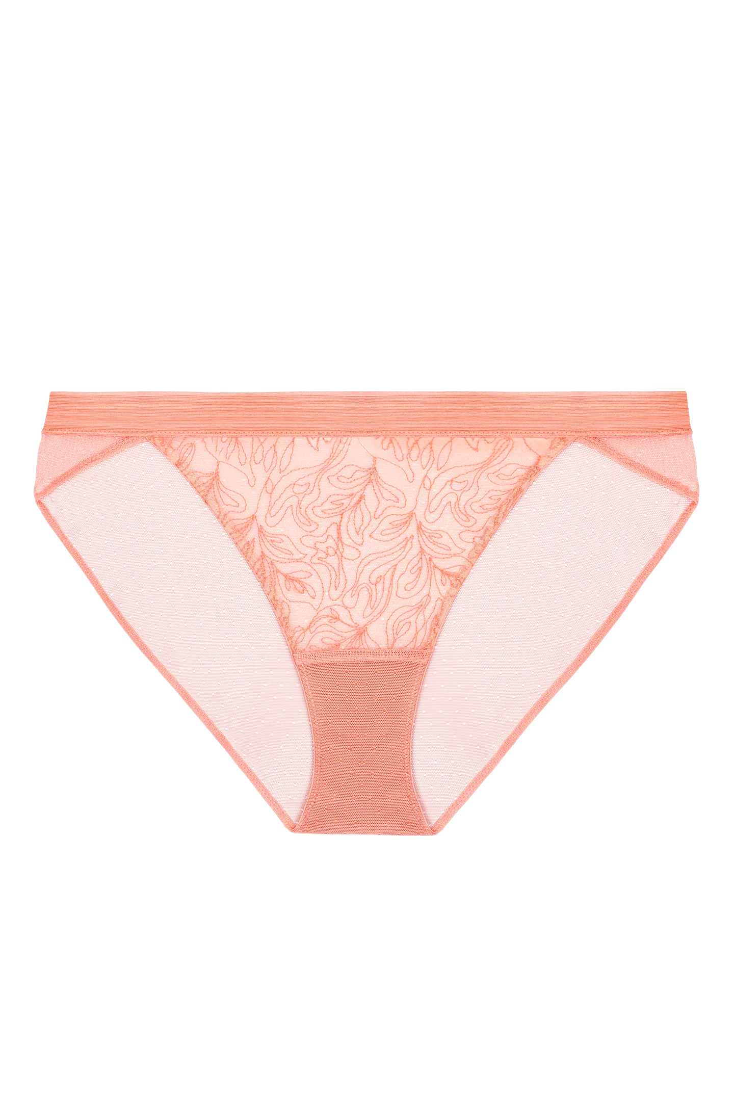 RAYA HIPSTER BIKINI BRIEF - Image 6